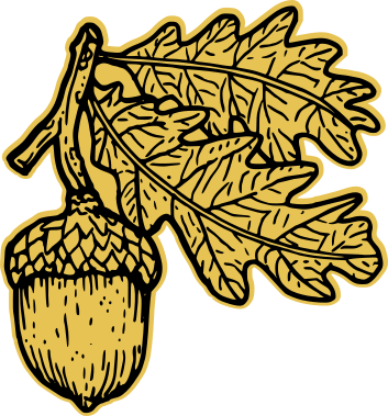 acorn graphic