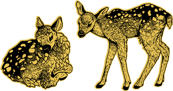 Deer graphic