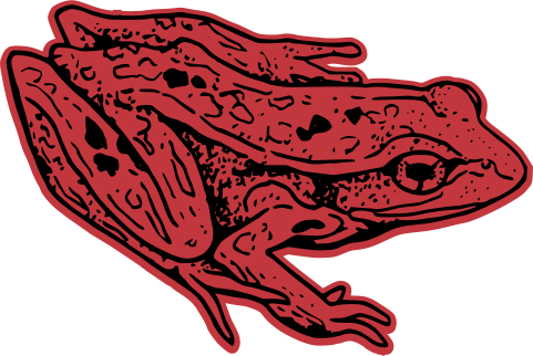 frog graphic