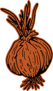 onion graphic